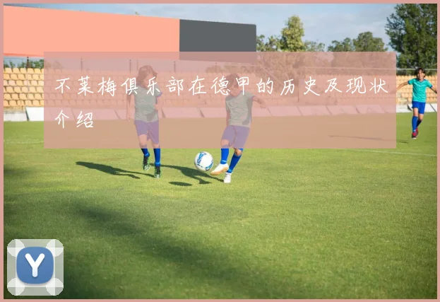 不莱梅俱乐部在德甲的历史及现状介绍