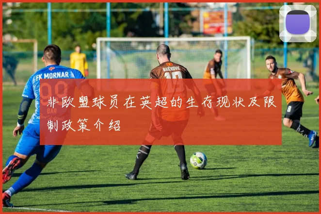 非欧盟球员在英超的生存现状及限制政策介绍
