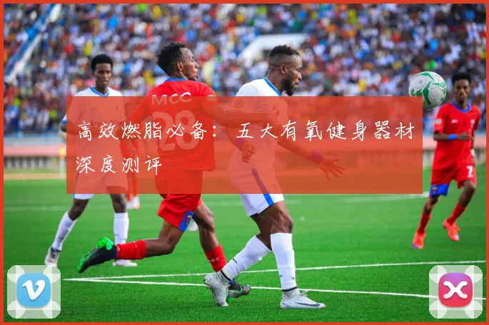 高效燃脂必备：五大有氧健身器材深度测评