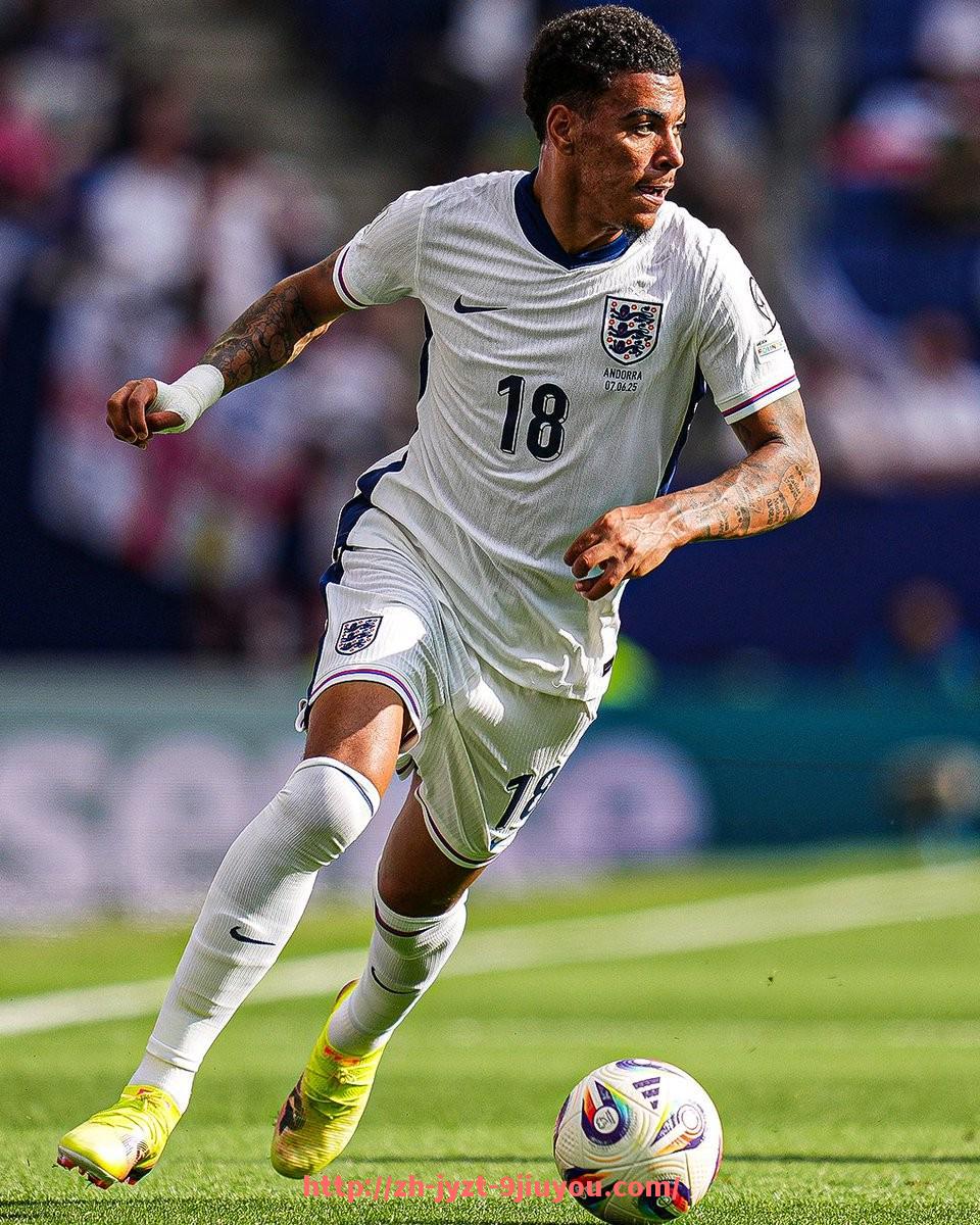 jiuyou九游娱乐-2025年法甲赛季期望与各队目标预测